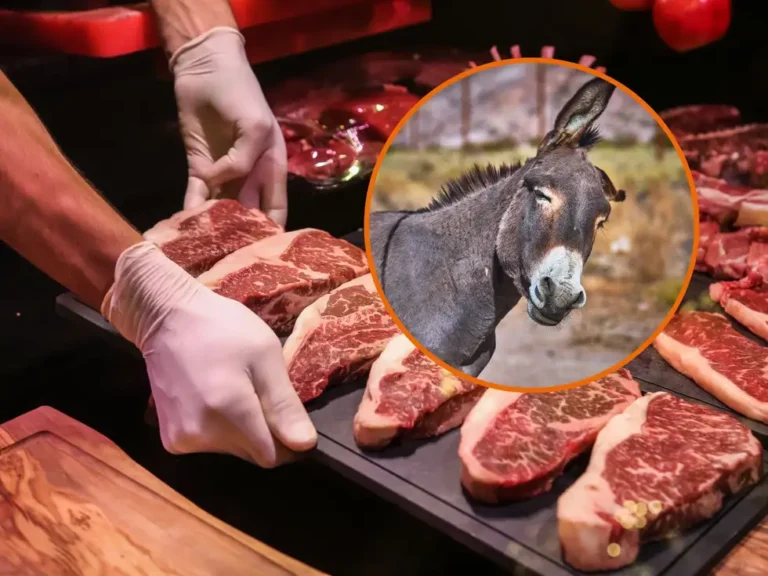 carnicerias de argentina venderan carne de burro