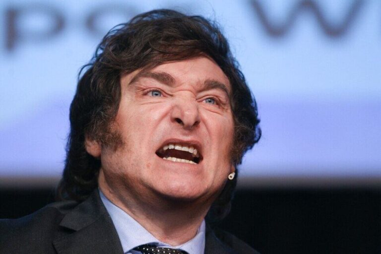 javier milei proyecto salud mental